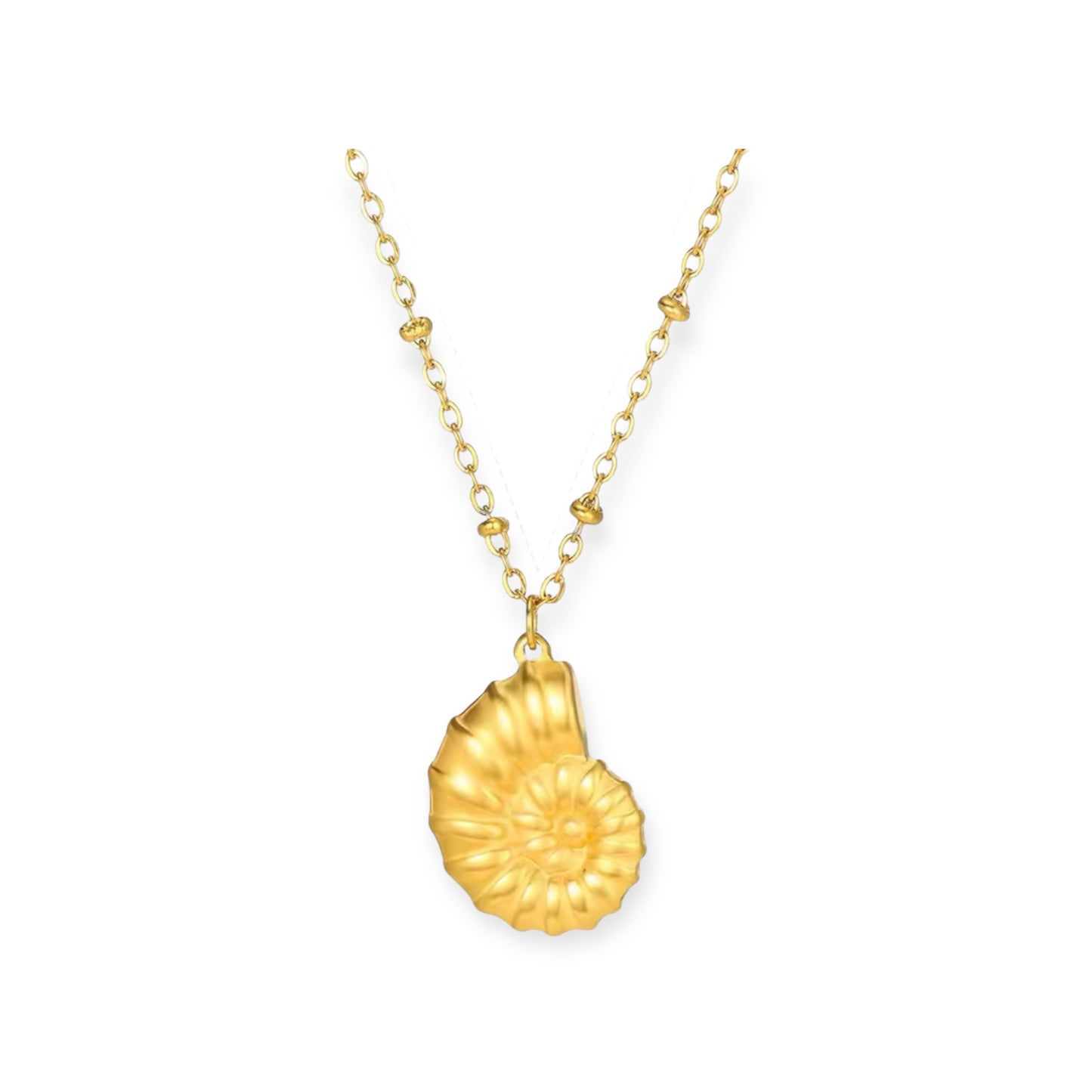 Arial Conch 18k Gold Plated Necklace