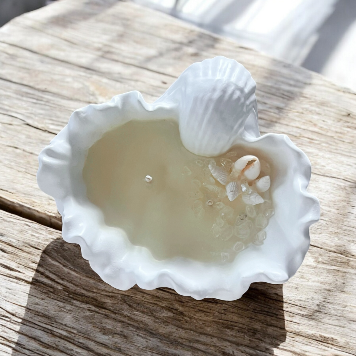 Sorrento Shell Candle